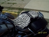 zebra-seat